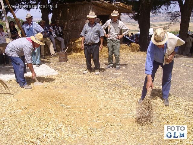 IMGP4035_il_grano_viene_raccolto_a_mucchi_a bbaruni.JPG